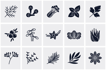 Spices, condiments and herbs elements set icon symbol template for graphic and web design collection logo vector illustration