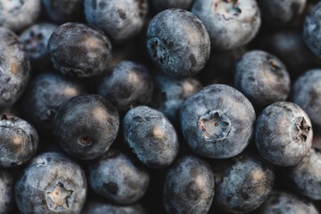 Pile of fresh ripe blueberries. Vegan and vegetarian and healthy dessert or snack concept. Background with macro texture of blueberry berries. Top view, selective focus, closeup