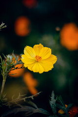 diferentes paisajes en la ciudad de panamá 