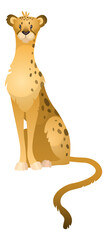Wild jaguar. Jungle leopard. Fast safari cat