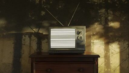 old retro tv with bright static screen covered by the shadows of a tree