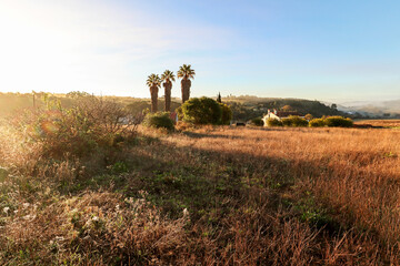 View of typical Alentejo landscape with Portuguese village in morning fog an rising sun at the Rota Vicentina hiking trail near Carrascalinho, Aljezur, Algarve and Alentejo area in Portugal