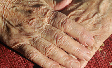hands of an old woman
