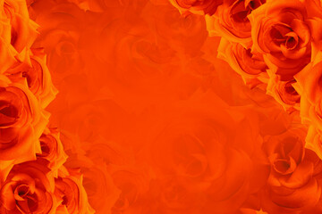 beautiful orange roses flower on blur orange roses flower background, template, banner, name card, copy space