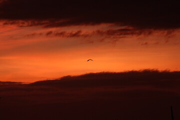 sunset in the sky