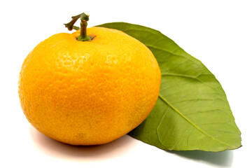 Tangerine isolated on white background. close up