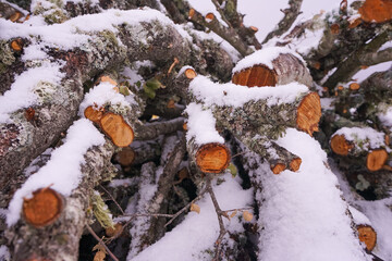 untenable image of snow covered wood cuts for firewood