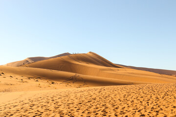 Fototapeta na wymiar Big Daddy Dune, Sossusvlei, Namibia