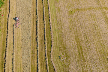 Tractor creates rolls of dry grass, for the subsequent collecting of hay in bales. Preparation of feed for cows.