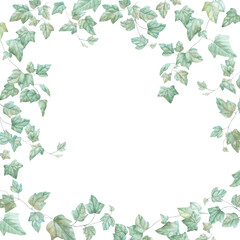 Ivy branches watercolor frame isolated on white background