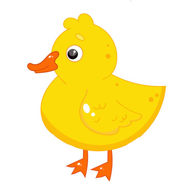 Cute baby animal cartoon duckling character. Vector childish illustration clip art. Domestic farm bird.