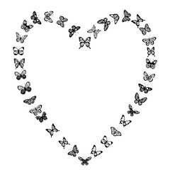 butterflies heart silhouette, on white background, vector, isolated