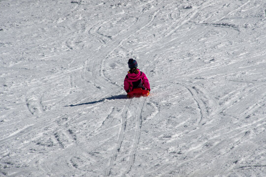 Girl On The Toboggan Run