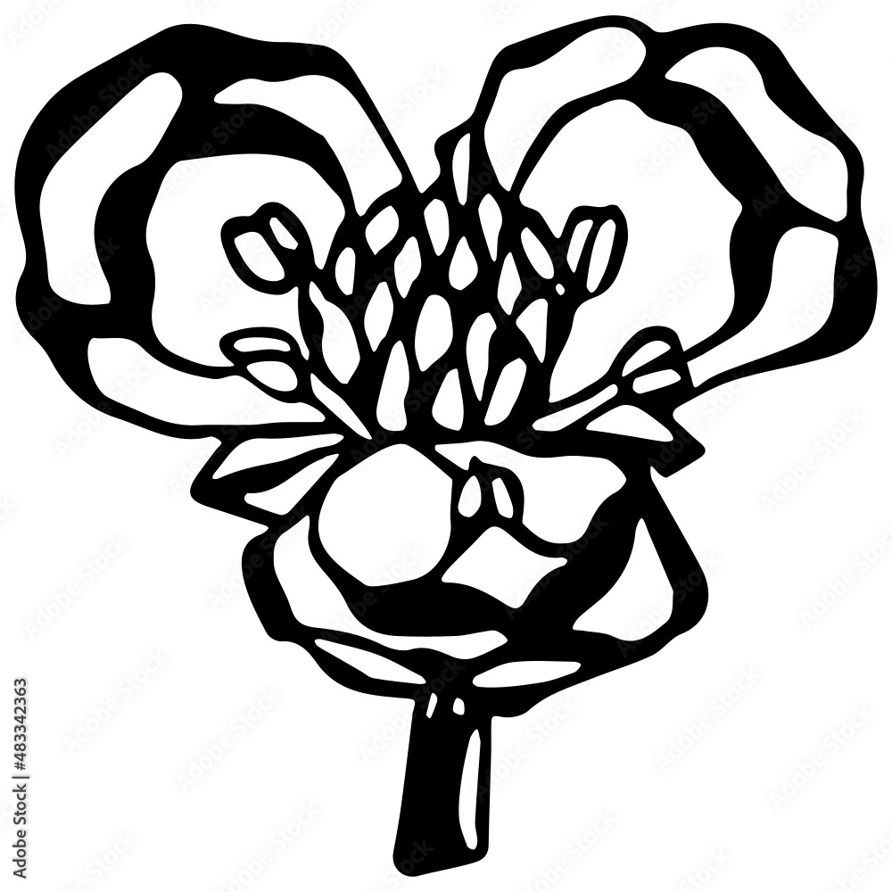 Wall mural black and white flower head in vintage woodcut printing style. single layer svg vector graphic suita