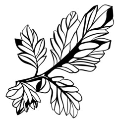 Monochrome multiple leaf stem in vintage woodcut printing style. Single layer SVG vector graphic suitable for use as digital cut file mask stencil