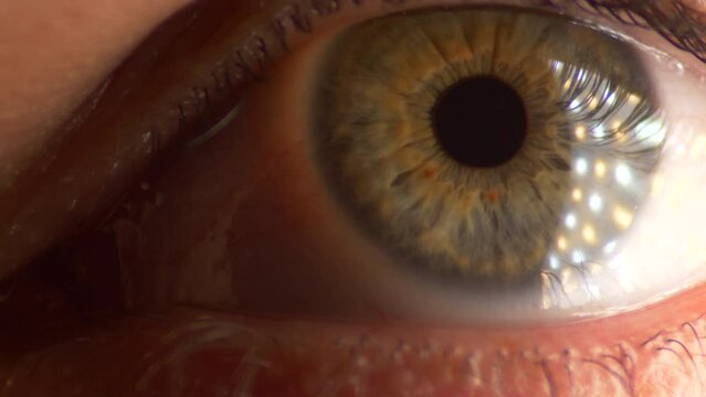 Long Clip of Person's Eye Looking Directly in Camera, Close Up MACRO