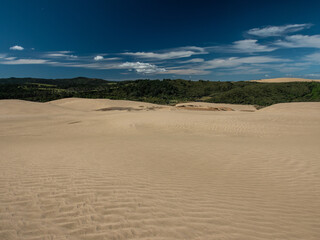 Fototapeta premium Desert