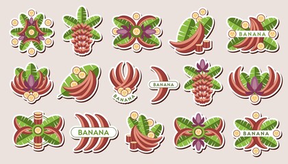 Set of stickers with with red bananas, banana leaves, flowers, slices. Isolated vector illustration. Good for decoration of food package