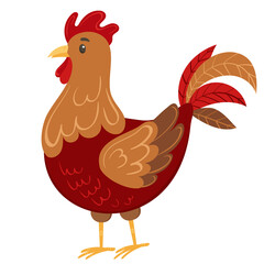 Colorful rooster, poultry farming vector Illustration on a white background
