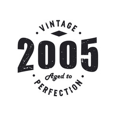 Born in 2005 Vintage Retro Birthday, Vintage 2005 Aged to Perfection