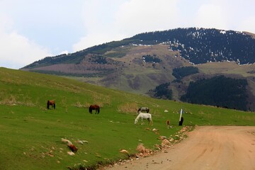 Nature is the world around us, not created by man. That which is primary, which appeared long before man. The natural habitat of man. Forests, mountains, seas, oceans, flora, fauna, and man himself.