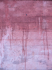 Red wall and leafs
