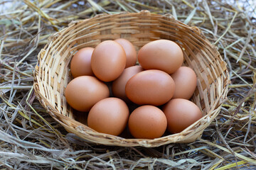 Fresh organic eggs in bamboo basket on straw nest