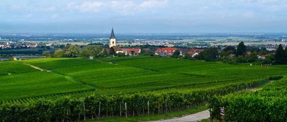 Weinberge Landschaft