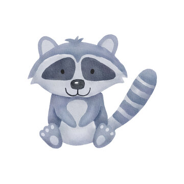 Watercolor illustration raccoon. Cute baby raccoon sitting isolated on white background.
