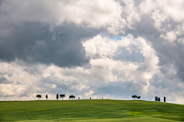 Fototapeta na wymiar View of the Scenic Tuscan Countryside