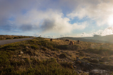 Serra da Freita - Arouca - Portugal