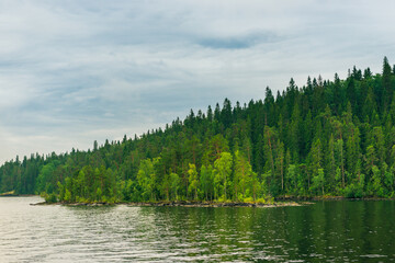 Fototapeta premium North Karelia lake, Russian wild nature. Forest growing on the stones