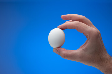 Fototapeta na wymiar Fresh white raw egg held by male hand. Close up studio shot, isolated on blue background