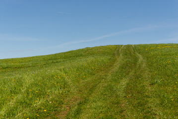 Polna droga prowadząca do wzgórza pośród łąk.