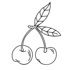 Cherry berry in black outline hand drawing. Cherry hand drawn image for color books and food package prints, vector illustration isolated on white background.
