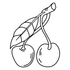 Cherry berries in black outline. Cherry hand drawn image for color books and food prints, vector illustration isolated on white background.