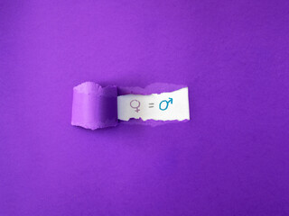 Symbols of woman and man drawn on a torn purple paper.