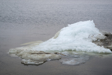 A drifting little island of gray ice with a mound of white snow on the surface of the shallow waters of the sea bay, covered with small ripples.  A few stalks of dry reeds were stuck in the snow.