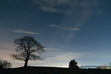 meteorites