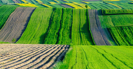 Spring farmland in Roztocze. Spring farmland in Roztocze.  Cultivation fields in the hills. © Andrzej Borowiec