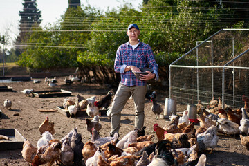 Farmer feeding chikens in a hen house © JENOCHE
