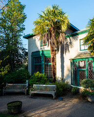 Palm trees in the afternoon sun.