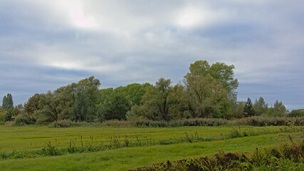 Autumnal marsh landscape in Bourgoyen nature reserve, Ghent, Belgium