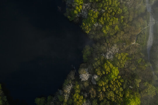 trees forming a hole with a little lake in denmark