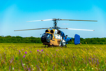 A helicopter has just landed on a flowering field. The green grass waves in the wind from the...