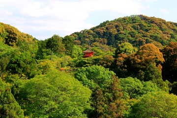 Obraz premium Nature is the world around us, not created by man. That which is primary, which appeared long before man. The natural habitat of man. Forests, mountains, seas, oceans, flora, fauna, and man himself.