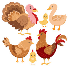 Chicken farm birds vector illustration set. Cartoon goose, duck, turkey, chicken and rooster in cartoon style. Domestic bird hand drawn, isolated on white background.