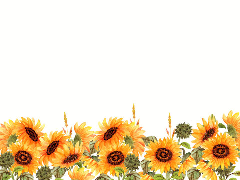 watercolor background with sunflower border frame 