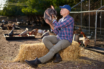 Rabbit in man's arm with care and love tenderly. Farmer holds bunny in farm.