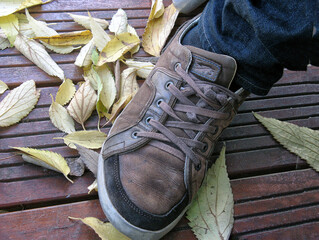 Chaussure de sport et feuilles au sol